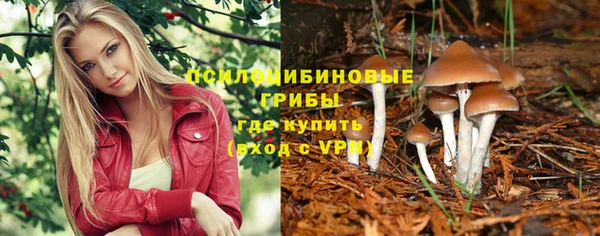 ECSTASY Бородино