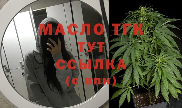 ECSTASY Бородино