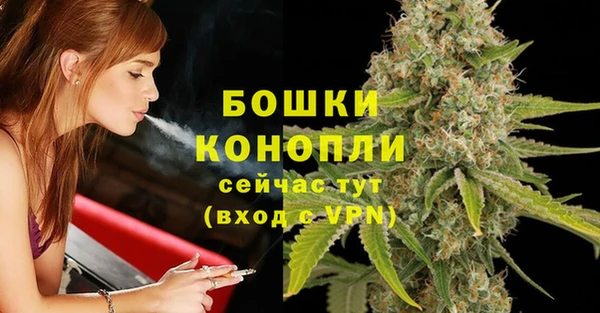 ECSTASY Бородино