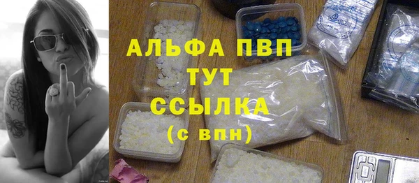 ECSTASY Бородино