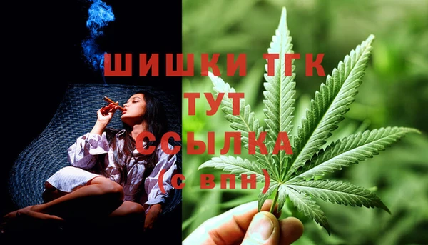 ECSTASY Бородино