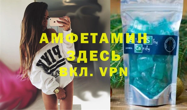 ECSTASY Бородино